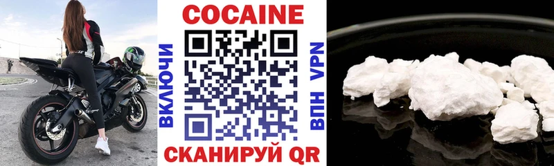Cocaine Fish Scale  Купить закладки  Барыш 