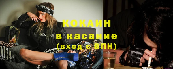 твердый Кукмор