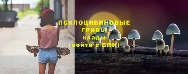 твердый Кукмор