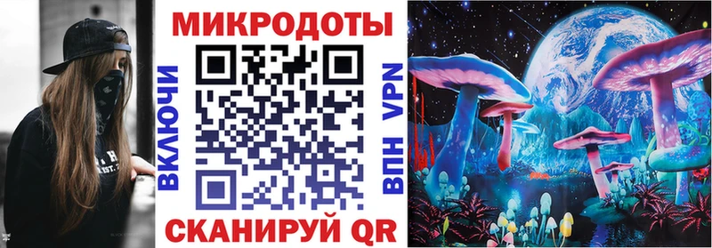 Псилоцибиновые грибы Psilocybine cubensis  Купить закладки  Барыш 